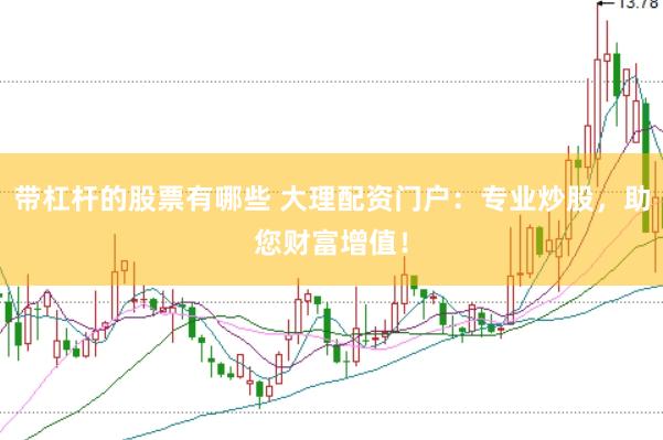 带杠杆的股票有哪些 大理配资门户：专业炒股，助您财富增值！