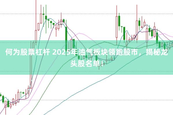 何为股票杠杆 2025年油气板块领跑股市，揭秘龙头股名单！