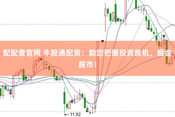 配配查官网 牛股通配资：助您把握投资良机，掘金股市！