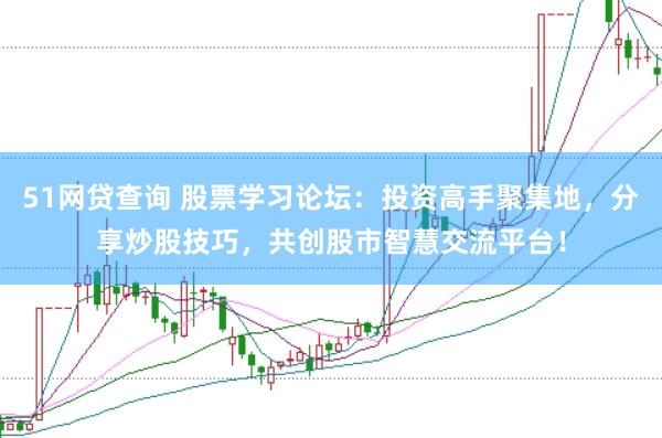 51网贷查询 股票学习论坛：投资高手聚集地，分享炒股技巧，共创股市智慧交流平台！