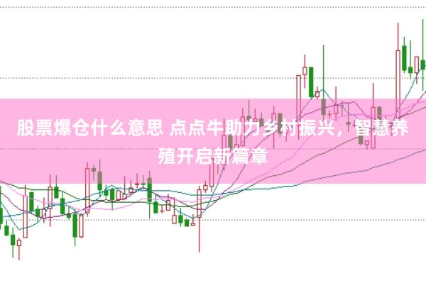股票爆仓什么意思 点点牛助力乡村振兴，智慧养殖开启新篇章