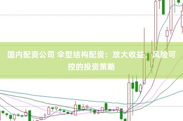 国内配资公司 伞型结构配资：放大收益，风险可控的投资策略