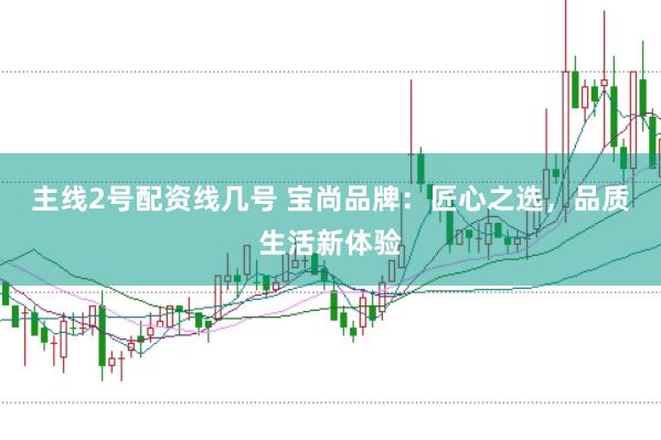 主线2号配资线几号 宝尚品牌：匠心之选，品质生活新体验
