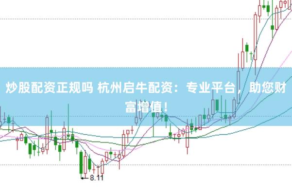 炒股配资正规吗 杭州启牛配资：专业平台，助您财富增值！