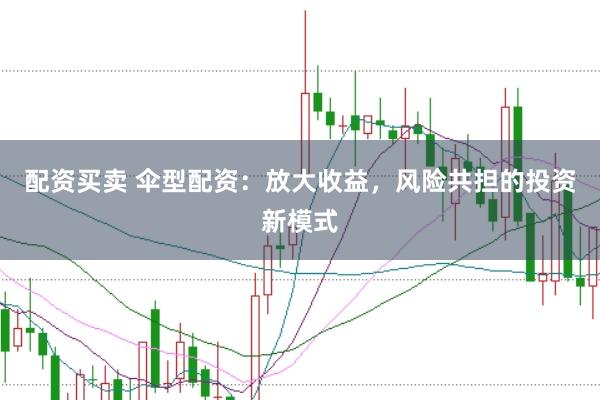 配资买卖 伞型配资：放大收益，风险共担的投资新模式