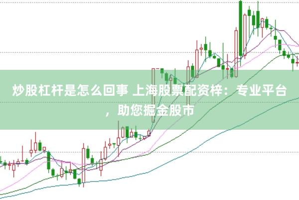 炒股杠杆是怎么回事 上海股票配资梓：专业平台，助您掘金股市