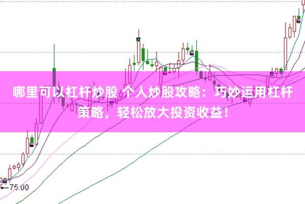 哪里可以杠杆炒股 个人炒股攻略：巧妙运用杠杆策略，轻松放大投资收益！