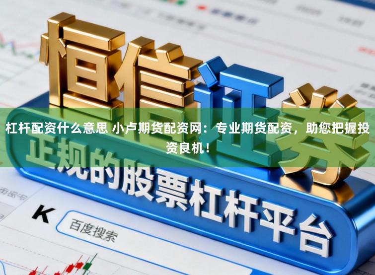 杠杆配资什么意思 小卢期货配资网：专业期货配资，助您把握投资良机！